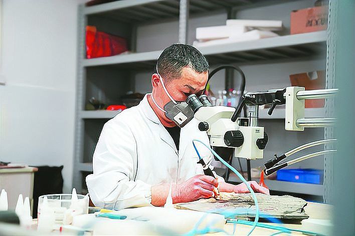 巢湖龍魚化石圖片欣賞