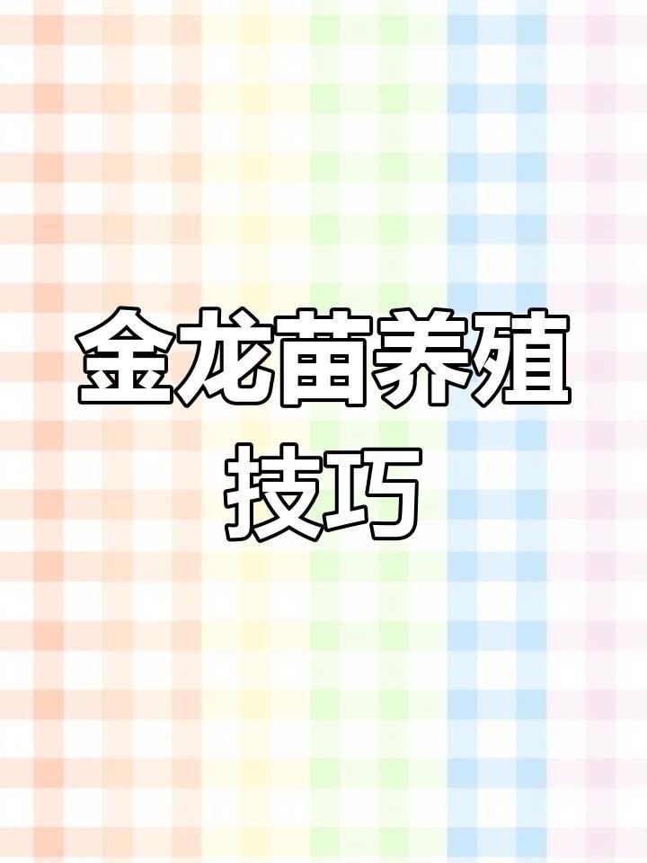金龍苗成長記錄有哪些要點