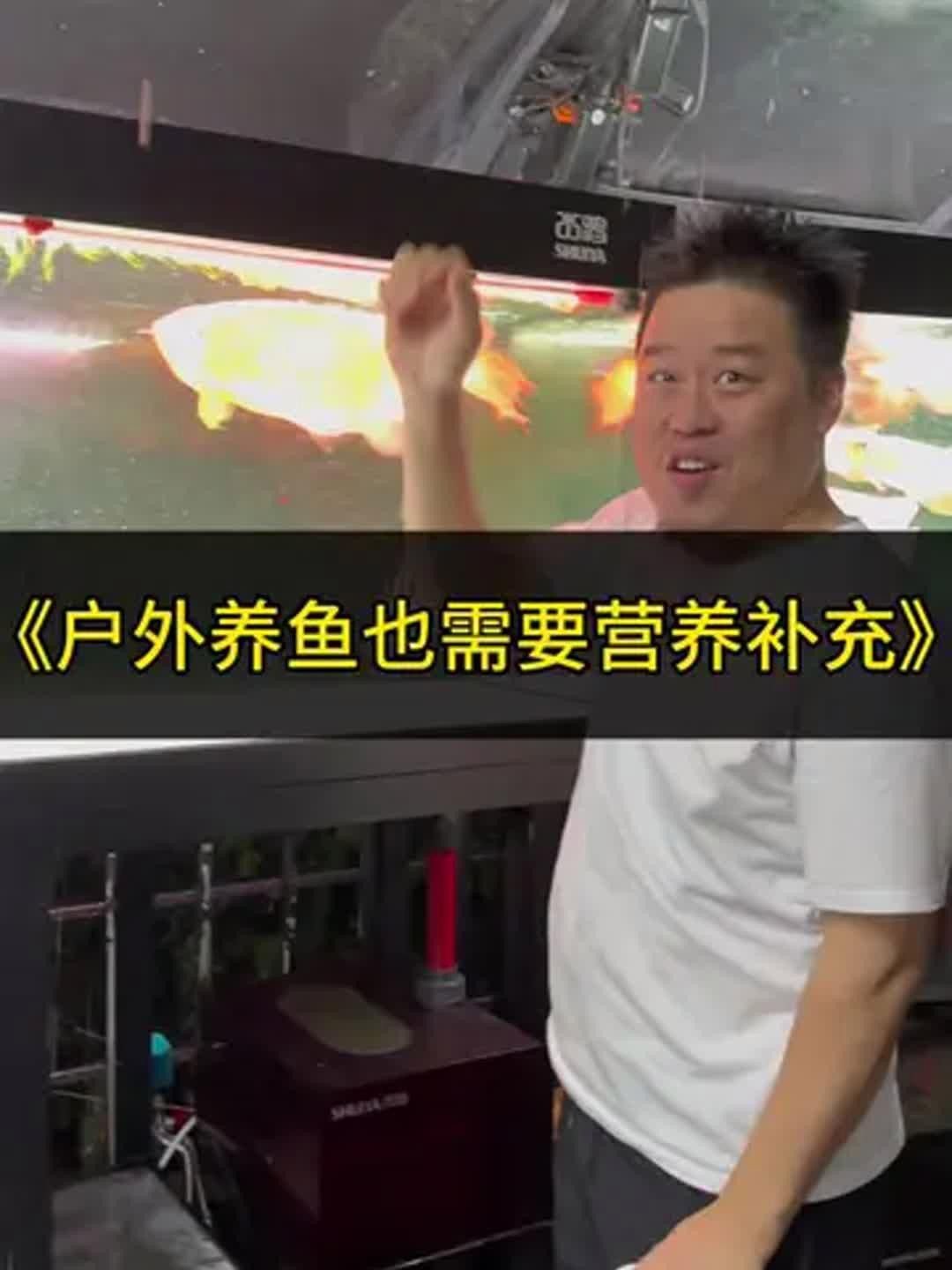 哪些食物對(duì)龍魚(yú)恢復(fù)最有幫助？