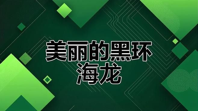 西龍魚缸（西龍魚缸怎么樣？）
