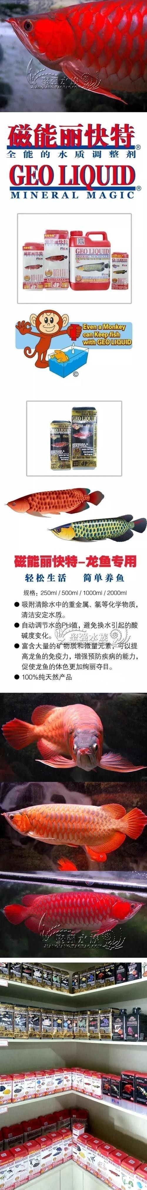 龍魚用什么水養好