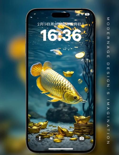 金龍魚背景圖片可愛高清