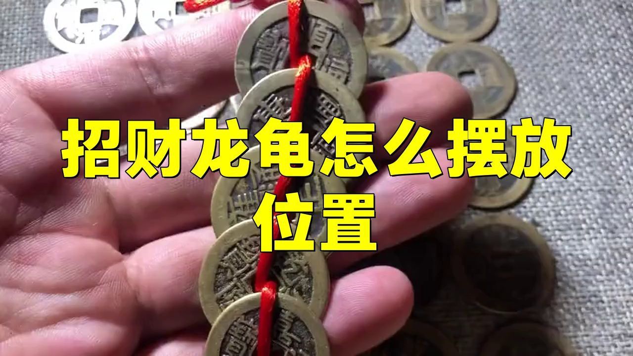 過背藍(lán)底金龍魚多少錢（江蘇藍(lán)底過背金龍魚多少錢）