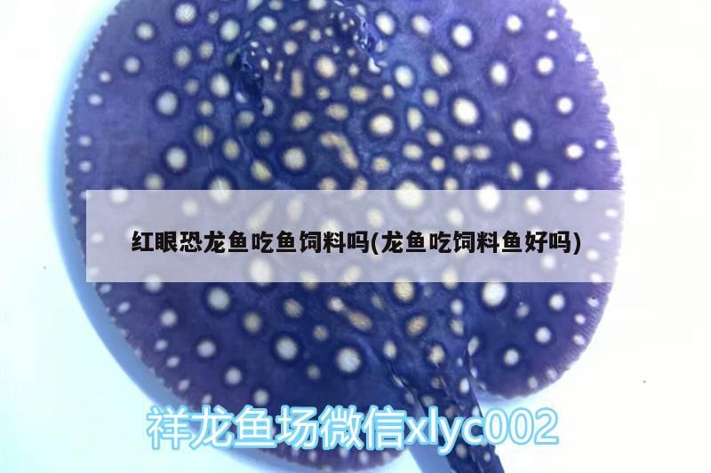 魚缸用增氧泵價(jià)格是多少:魚缸增氧機(jī)-xtrac增氧機(jī)-xtrac增氧機(jī) 曼龍魚和虎皮魚混養(yǎng)好嗎(曼龍魚和虎皮魚混養(yǎng)好嗎視頻) 龍魚百科 曼龍魚和虎皮魚混養(yǎng)好嗎(曼龍魚和虎皮魚混養(yǎng)好嗎視頻) 曼龍魚和虎皮魚混養(yǎng)好嗎(曼龍魚和虎皮魚混養(yǎng)好嗎視頻) 龍魚百科