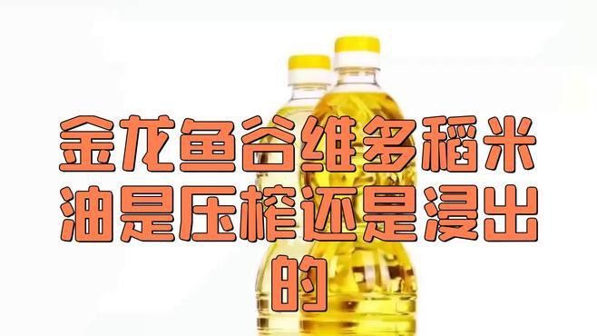 金龍魚1535