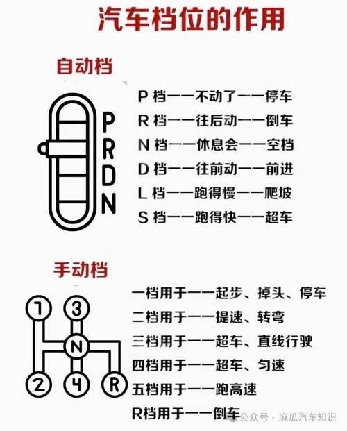 金龍檔位的圖解圖