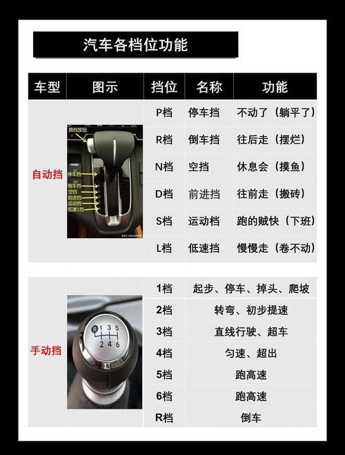 金龍檔位的圖解圖