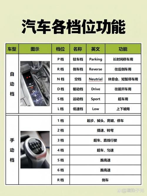金龍檔位的圖解圖