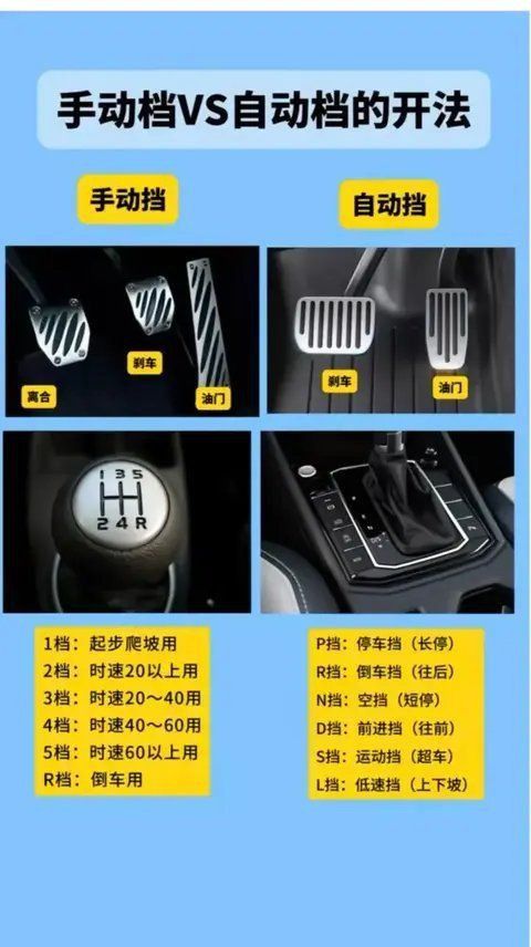 金龍檔位的圖解圖