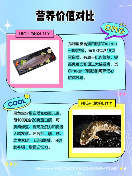 黑魚(yú)是龍魚(yú)嗎圖片大全大圖
