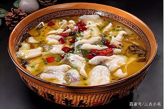 黑魚(yú)是龍魚(yú)嗎圖片大全大圖