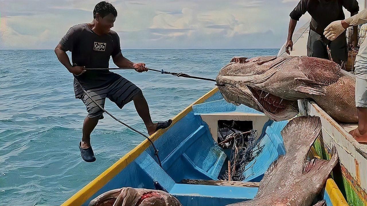 如何計算龍躉魚的養殖密度？