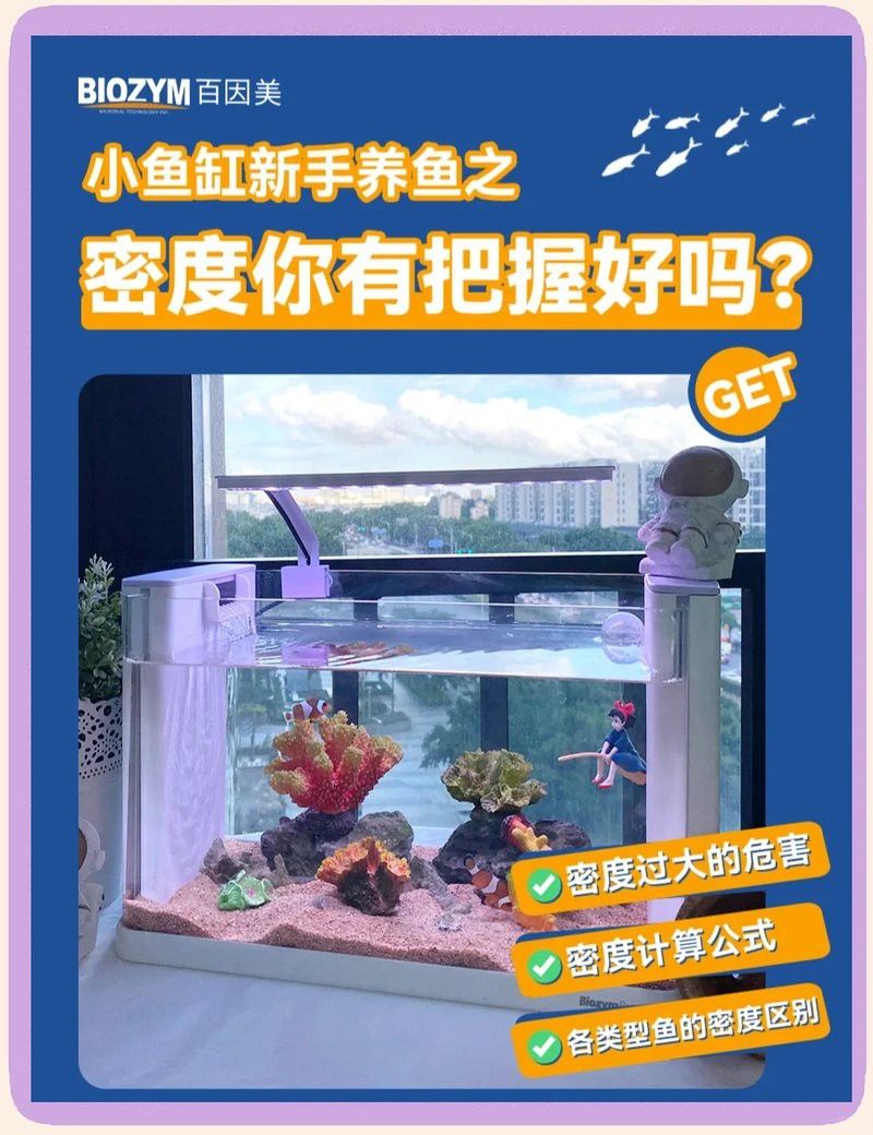 如何計算龍躉魚的養殖密度？