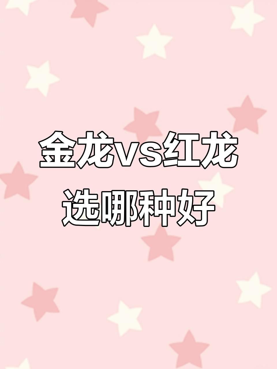 龍魚混養(yǎng)打架有什么好辦法嗎視頻教學：龍魚混養(yǎng)注意事項