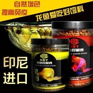 金龍魚吃什么飼料發色快些：金龍魚吃什么發色好金龍魚吃什么發色好
