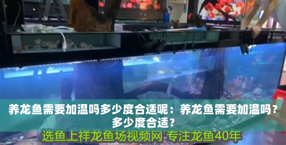 養龍魚需要加溫嗎多少度合適呢：養龍魚需要加溫嗎？多少度合適？