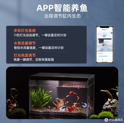 魚缸設(shè)計(jì)軟件APP推薦（智能魚缸設(shè)計(jì)軟件app推薦魚缸設(shè)計(jì)軟件app推薦）