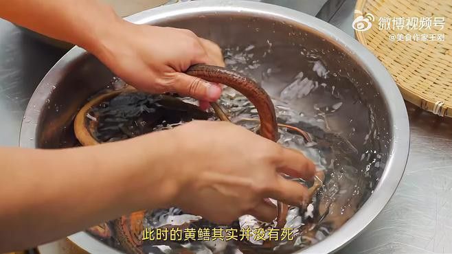 盤龍魚是什么魚