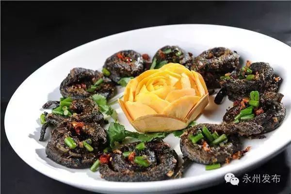 盤龍魚是什么魚
