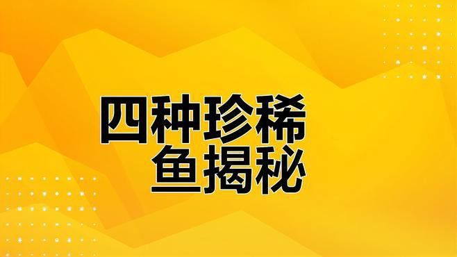 盤龍魚是什么魚