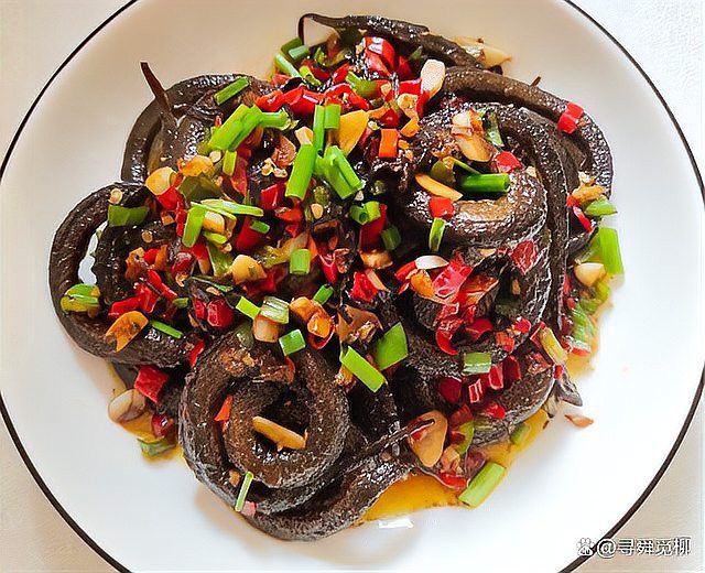 盤龍魚是什么魚