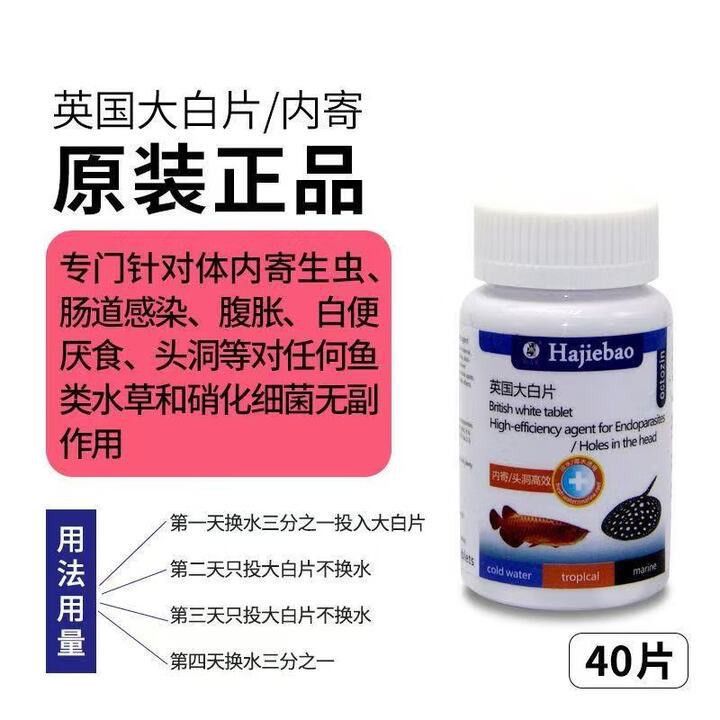 有沒有龍魚內(nèi)服的內(nèi)寄藥