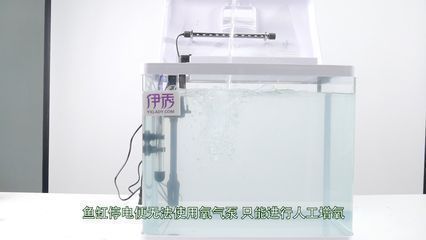 紅龍魚(yú)回收價(jià)格查詢(xún)官網(wǎng)（紅龍魚(yú)回收價(jià)格查詢(xún)官網(wǎng)電話(huà)）