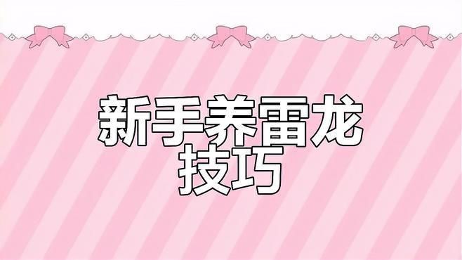 雷龍適合新手養(yǎng)嗎
