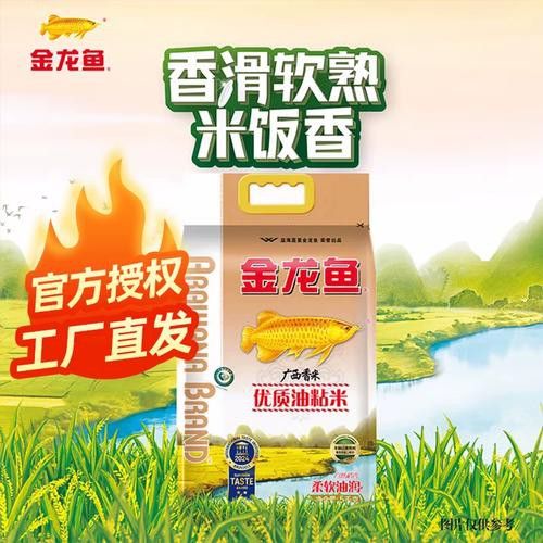 金龍魚廣西香米好吃嗎