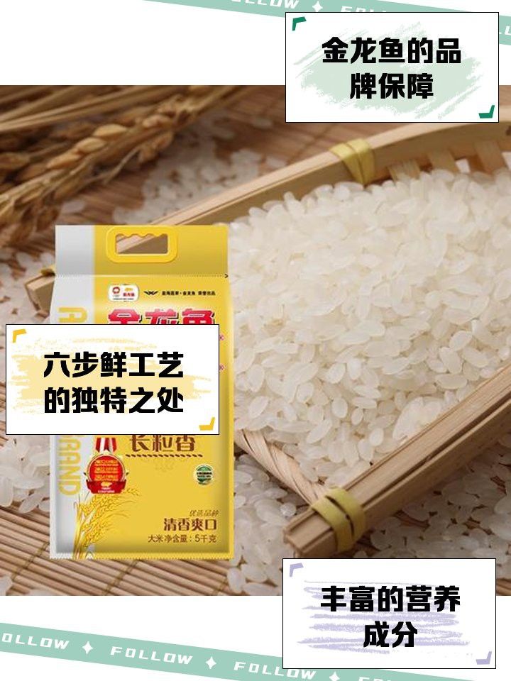 金龍魚廣西香米好吃嗎
