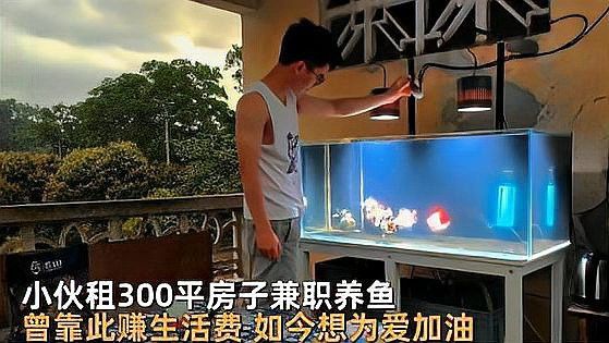 養(yǎng)龍魚掙錢嗎