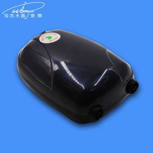 龍魚缸氧氣泵用不用一直開著才能充電：夏季龍魚缸氧氣管理技巧，氧氣泵定時設置的最佳實踐