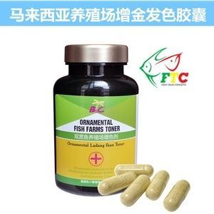 龍魚的日常護理中，藥水的選擇和使用是非常重要的一部分：龍魚平時要加什么藥水好養龍魚平時要加什么藥水好養