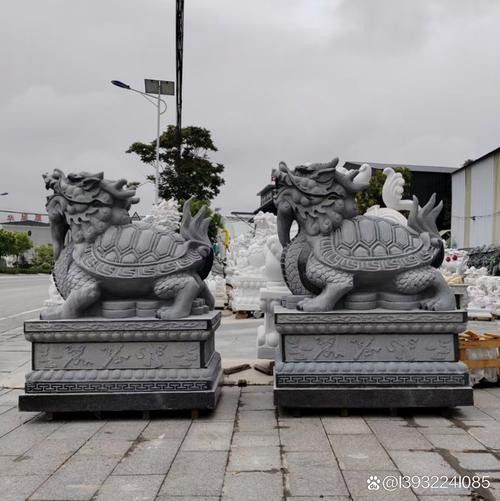 給我推薦一些高清大圖的龍龜圖片