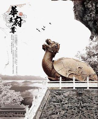給我推薦一些高清大圖的龍龜圖片
