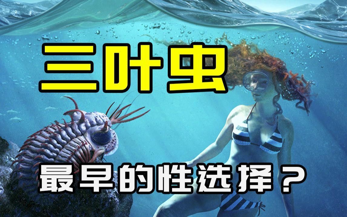 秀尼魚龍化石證據(jù)為何不足？
