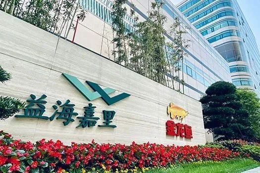 金龍魚如何應對原材料成本波動？
