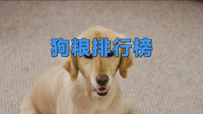 口碑最好的十大狗糧