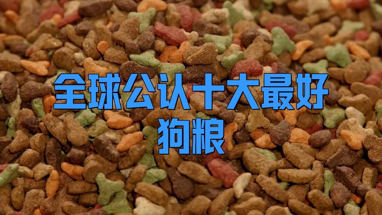 口碑最好的十大狗糧