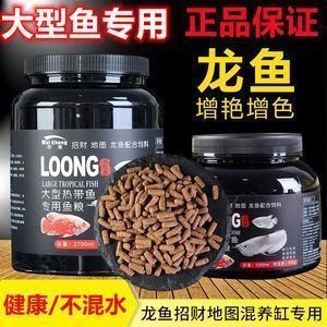 龍魚的魚鱗為什么要拔：關于龍魚吃小魚的五個疑問