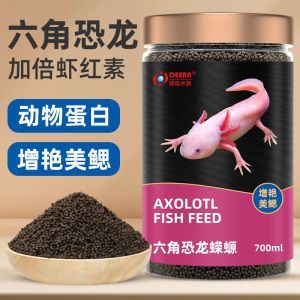 紅龍魚冠軍：關于紅龍魚冠軍的一些問題