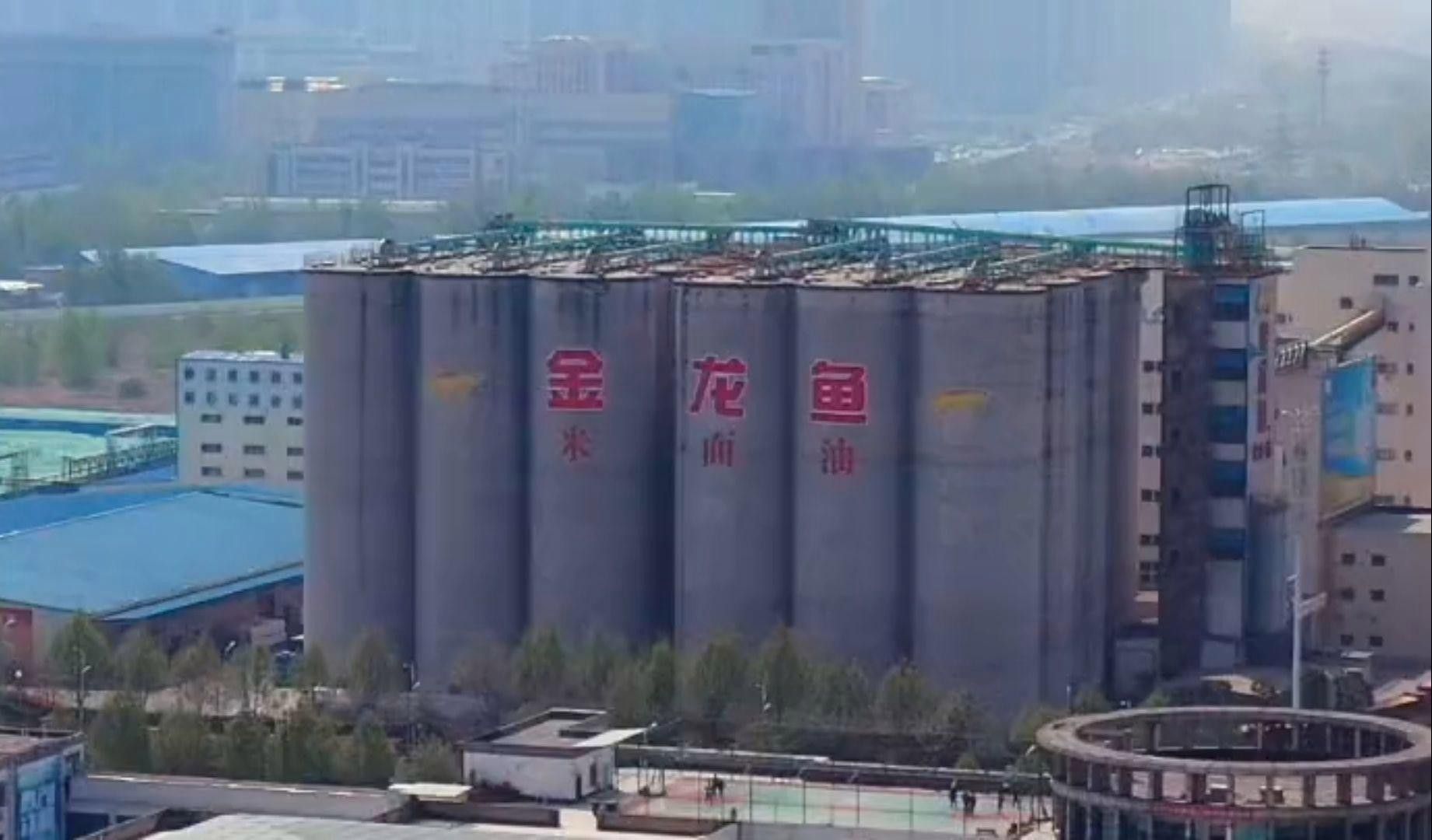 金龍魚禁售政策有哪些例外情況？