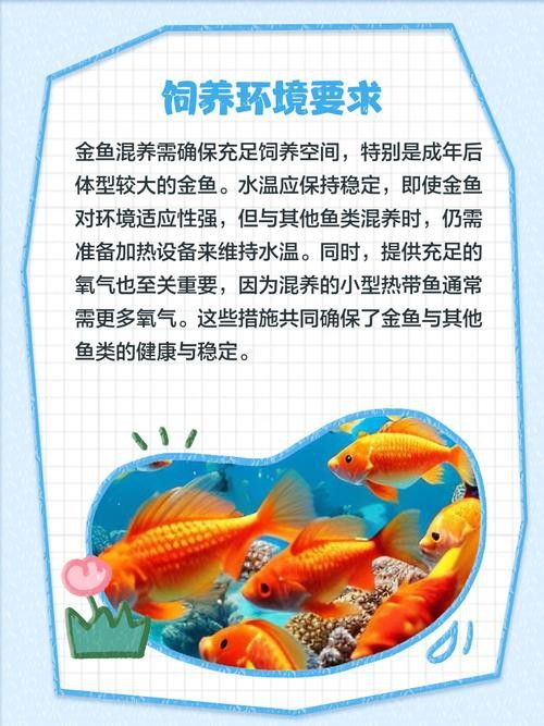 小火龍魚可以與金魚混養(yǎng)嗎圖片大全
