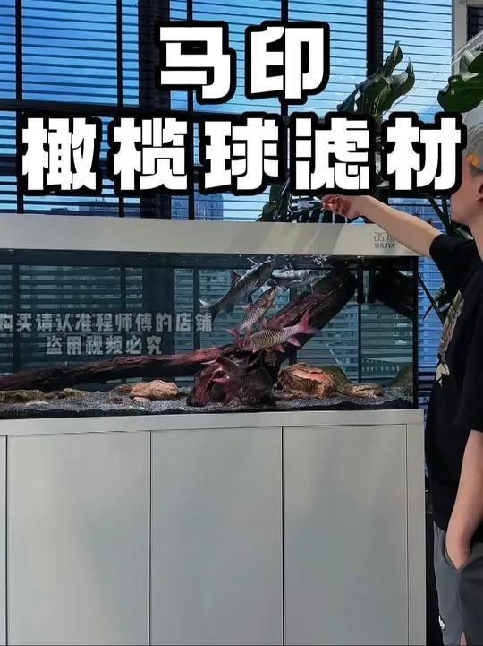 馬印濾材和伊罕濾材對比