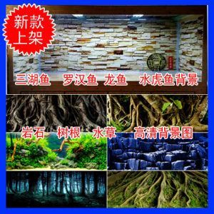 龍魚用水草背景好不好（龍魚缸中放水草有什么好處？）