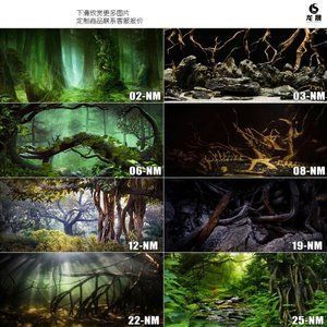 龍魚用水草背景好不好（龍魚缸中放水草有什么好處？）