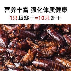 龍魚吃蟑螂干好嗎：龍魚吃蟑螂干在一定程度上是有益的但在喂食時應注意適量原則