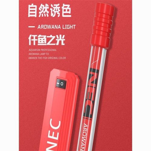金龍魚缸燈擺放圖片