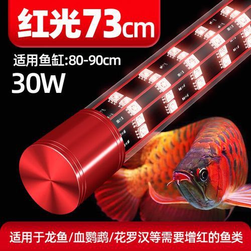金龍魚缸燈擺放圖片