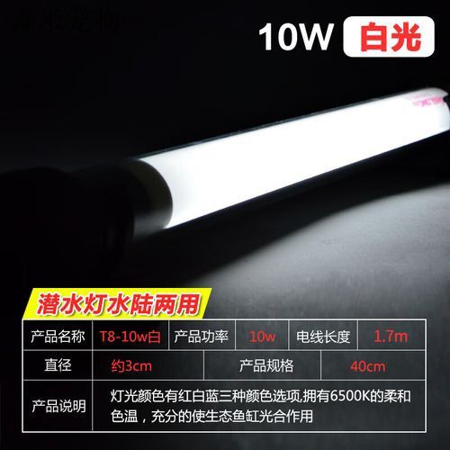 金龍魚缸燈擺放圖片